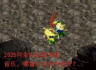 2025��ȫDJս�賵�����֣������������ȫ����