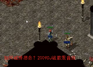 ��ν��˼�2009DJս�������