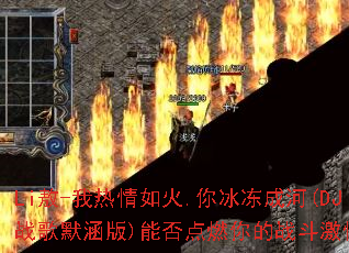 Li��-���������.������ɺ�(DJս��Ĭ����)�ܷ��ȼ���ս�����飿