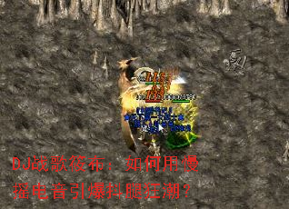 DJս���㲼���������ҡ�����������ȿ񳱣�