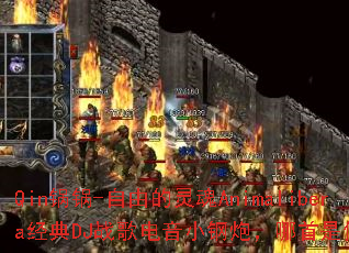 Qin����-���ɵ����Animalibera����DJս�����С���ڣ�������������