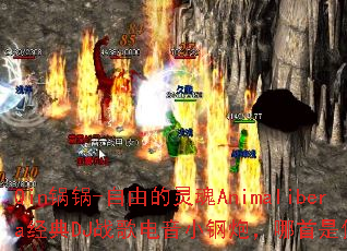 Qin����-���ɵ����Animalibera����DJս�����С���ڣ�������������