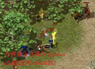 Ϊ���һ�ѡ��ProgHouseDJս�谢JIe2025��