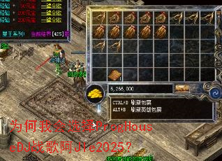 Ϊ���һ�ѡ��ProgHouseDJս�谢JIe2025��