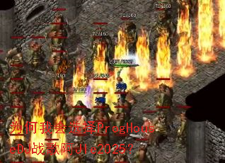 Ϊ���һ�ѡ��ProgHouseDJս�谢JIe2025��