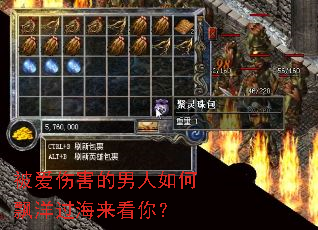 �����˺����������Ʈ����������㣿