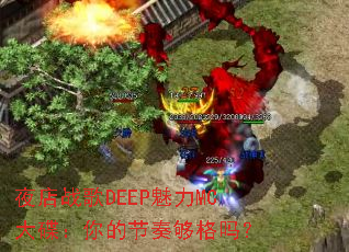 ҹ��ս��DEEP����MC�������Ľ��๻����