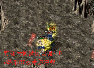 野花为何梦见玫瑰?DJ战歌R7版带你冲锋 野花为何梦见玫瑰?DJ战歌R7版带你冲锋