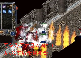 野花为何梦见玫瑰?DJ战歌R7版带你冲锋 野花为何梦见玫瑰?DJ战歌R7版带你冲锋