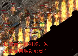 �ҵ��װ�лл�㣬DJս����δ������飿