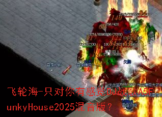 ���ֺ�-ֻ�����ио�DJս��A5FunkyHouse2025�����棿