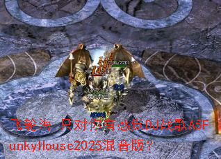 ���ֺ�-ֻ�����ио�DJս��A5FunkyHouse2025�����棿