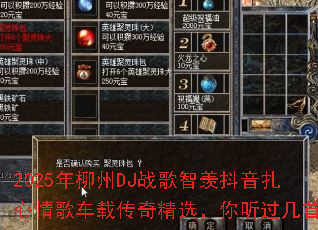 2025������DJս�����۶���������賵�ش��澫ѡ�����������ף�