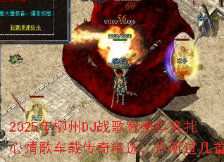 2025������DJս�����۶���������賵�ش��澫ѡ�����������ף�