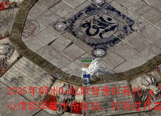 2025������DJս�����۶���������賵�ش��澫ѡ�����������ף�