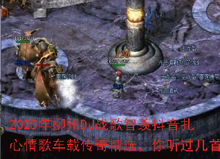 2025������DJս�����۶���������賵�ش��澫ѡ�����������ף�