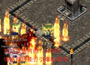 2025ս����ȼ��DJ�����˸��ͷ��ܷ�����MC����