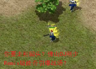 ��Ҫ�߱��ͷ����ɽDJ����Remix���ܷ�����ս����