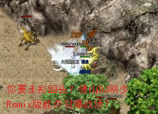 ��Ҫ�߱��ͷ����ɽDJ����Remix���ܷ�����ս����