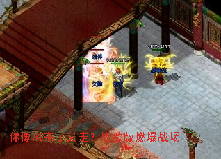 ������������ߣ�ս���ȼ��ս��