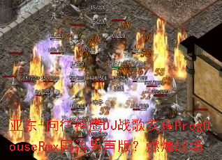 �Ƕ�-������ӥDJս�谲�ProgHouseRmx���������棿ȼ��ս��