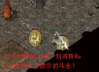 ���������ս����������Remix���ܷ��ȼ��Ķ�־��