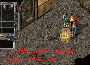 ���������ս����������Remix���ܷ��ȼ��Ķ�־��