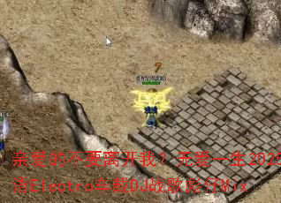 �װ��Ĳ�Ҫ�뿪�ң��ް�һ��2025������Electro����DJս�����Mix