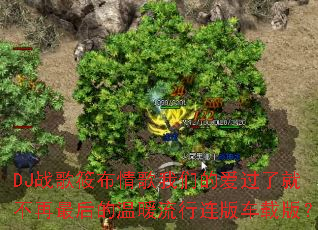 DJս���㲼������ǵİ����˾Ͳ���������ů�������泵�ذ棿