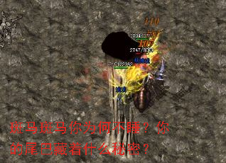 ����������Ϊ�β�˯�����β�Ͳ���ʲô���ܣ�