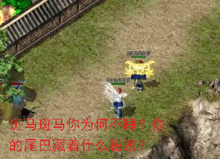 ����������Ϊ�β�˯�����β�Ͳ���ʲô���ܣ�