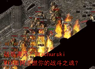 ս�輤����StachurskiMIX��ε�ȼ���ս��֮�ꣿ