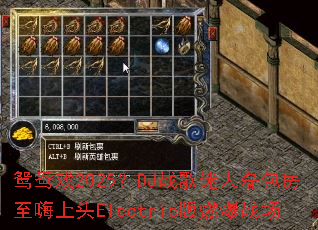 ԧ��Ϸ2025��DJս�������ڰ���������ͷElectric��ȼ��ս��