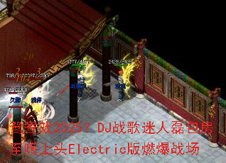 ԧ��Ϸ2025��DJս�������ڰ���������ͷElectric��ȼ��ս��
