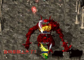 ���춼�������ˣ�