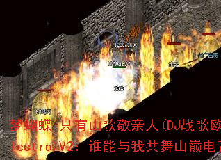 �κ���-ֻ��ɽ�辴����(DJս��ŷ��2025Electro)V2��˭�����ҹ���ɽ�۵���֮�ۣ�