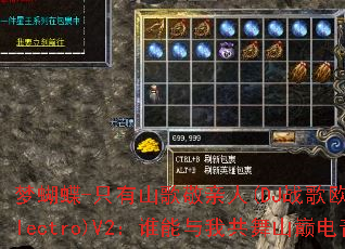 �κ���-ֻ��ɽ�辴����(DJս��ŷ��2025Electro)V2��˭�����ҹ���ɽ�۵���֮�ۣ�