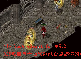 ����YouAreBeautiful����2025��Ѫ�����ս���ܷ��ȼ��Ķ�־��