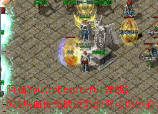 ����YouAreBeautiful����2025��Ѫ�����ս���ܷ��ȼ��Ķ�־��