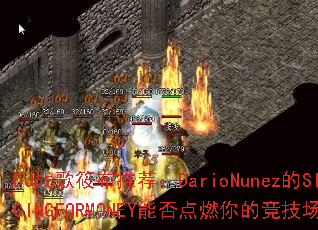 DJս���㲼�Ƽ���DarioNunez��SINGINGFORMONEY�ܷ��ȼ��ľ�������