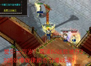 ����һ���ꣿ����DJս�貨��2025���������ܷ�����ս����