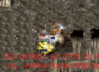 տ��DJս�賬������2025�������빫������������С����Ů���������ܵ�ȼ�����Ϸ������