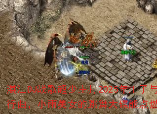 տ��DJս�賬������2025�������빫������������С����Ů���������ܵ�ȼ�����Ϸ������