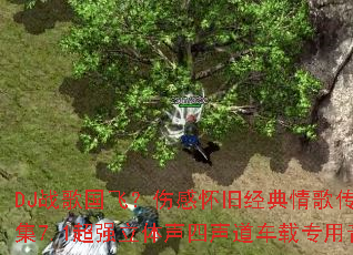 DJս����ɣ��˸л��ɾ�����贫�澫ѡ�ϼ�7.1��ǿ����������������ר�����ִ��