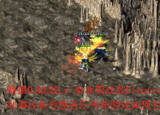 ˳��DJս��Ly-ȫ��ѩս��Electro˽�˶���̷У��ר�����ִ�����Ϸ��δ�����ս�����飿