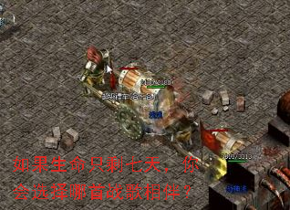 �������ֻʣ���죬���ѡ������ս����飿