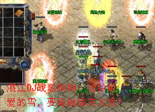 տ��DJս�蹷�����͸����ѩ��Ҫ�޾ͼ޻�̫�ǣ�