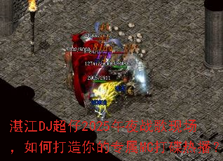 տ��DJ����2025��ҹս���ֳ�����δ������ר��MC����Ȳ���