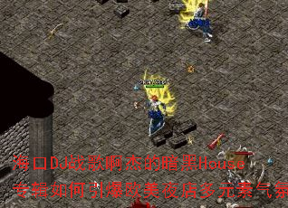 ����DJս�谡�ܵİ���Houseר���������ŷ��ҹ���Ԫ�����գ�