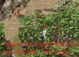 �ϪDJս��������ŷ��ȫӢ��House�Ȳ��������������ף�